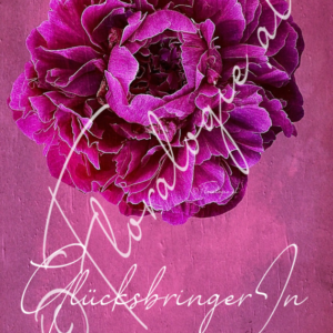 X. Glücksbringerin  04.06.-19.06.