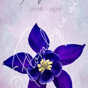XI. Kraftblume  20.06.-05.07.