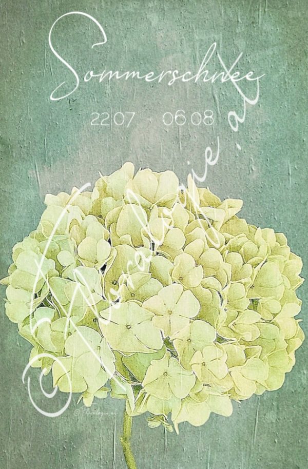XIII. Sommerschnee  22.07.-06.08.