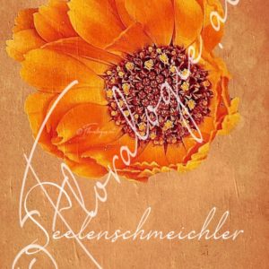 XVII. Seelenschmeichler  22.09.-06.10.