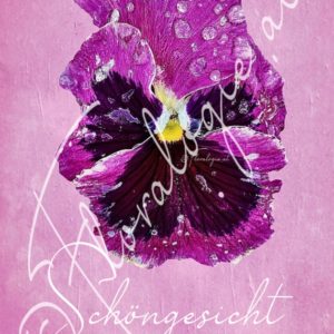 XVIII. Schöngesicht 07.10.-22.10.