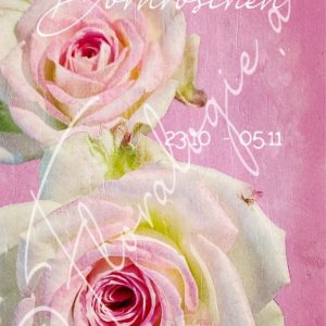 XIX. Dornröschen 23.10.-05.11.