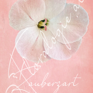 XXII. Zauberzart  07.12.-20.12.