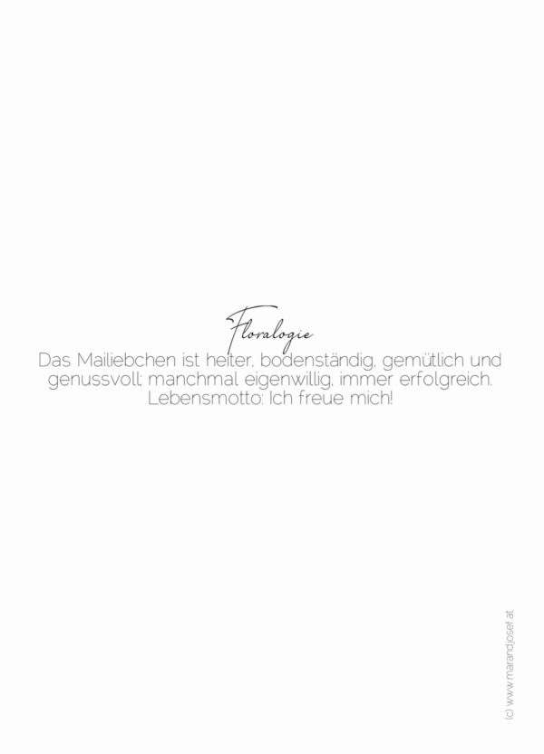 VIII. Mailiebchen  04.05.-18.05. – Bild 2