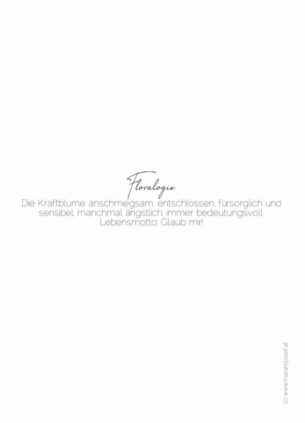 XI. Kraftblume  20.06.-05.07. – Bild 2