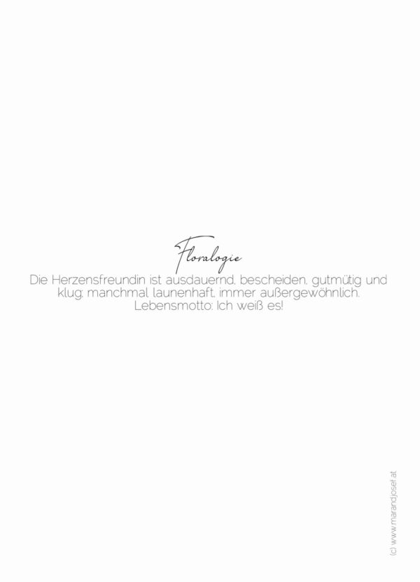 XII. Herzensfreundin  06.07.-21.07. – Bild 2