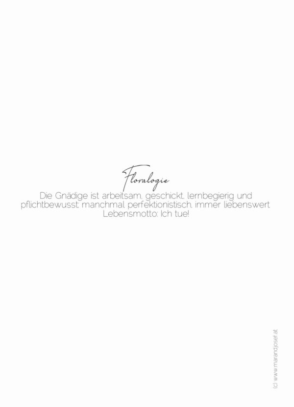 XV. Gnädige  22.08.-05.09. – Bild 2