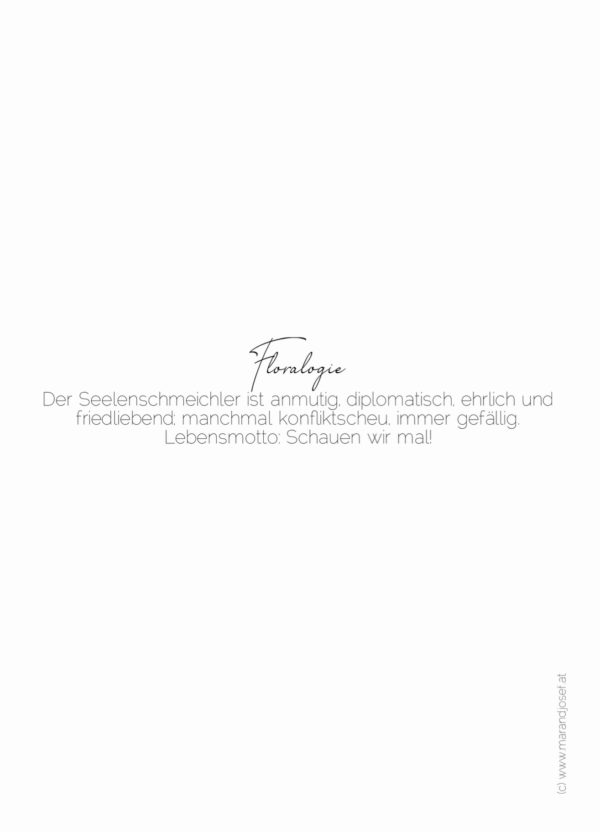 XVII. Seelenschmeichler  22.09.-06.10. – Bild 2