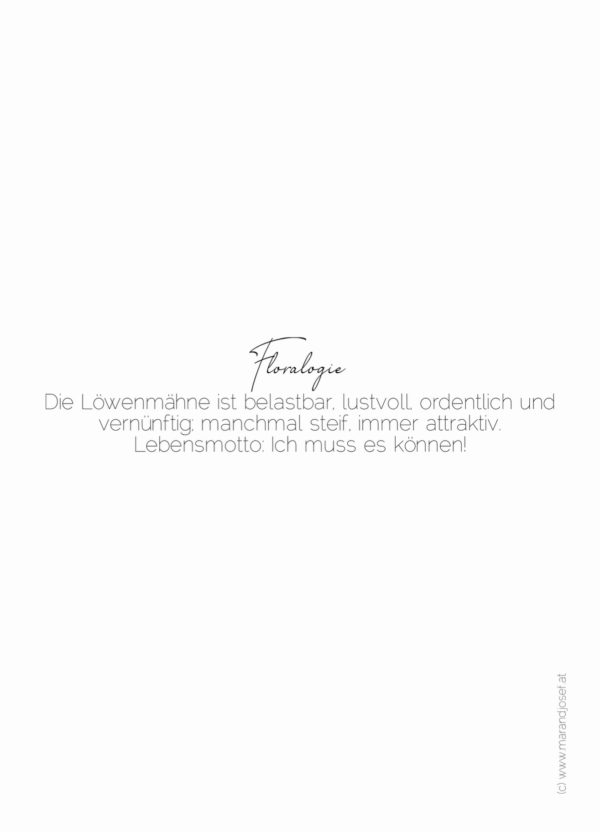 XXIV. Löwenmähne 06.01.-20.01. – Bild 2