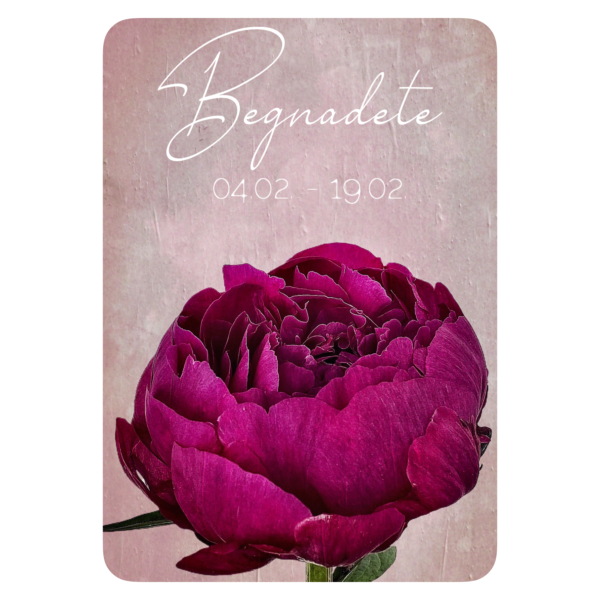 XXV. Floralogie Potpourri - 24 Karten – Bild 23