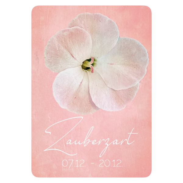 XXV. Floralogie Potpourri - 24 Karten – Bild 19