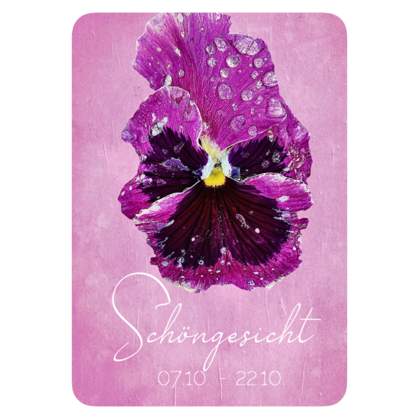 XXV. Floralogie Potpourri - 24 Karten – Bild 15