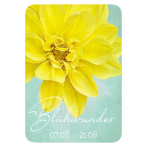XXV. Floralogie Potpourri - 24 Karten