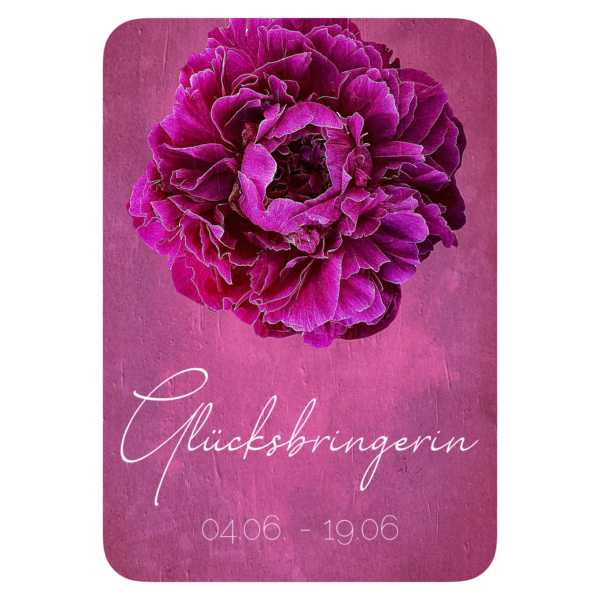 XXV. Floralogie Potpourri - 24 Karten – Bild 7