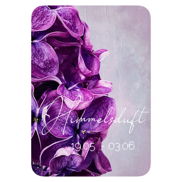 XXV. Floralogie Potpourri - 24 Karten – Bild 6