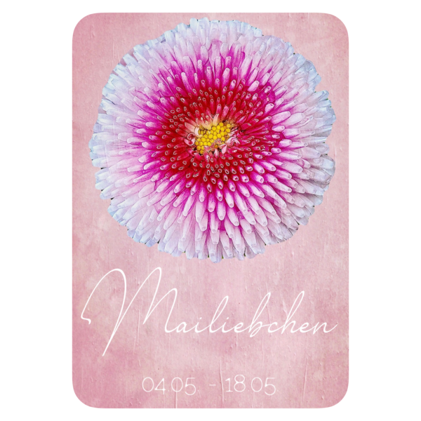 XXV. Floralogie Potpourri - 24 Karten – Bild 5