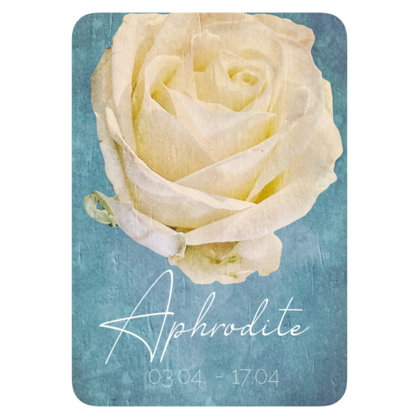 XXV. Floralogie Potpourri - 24 Karten – Bild 3