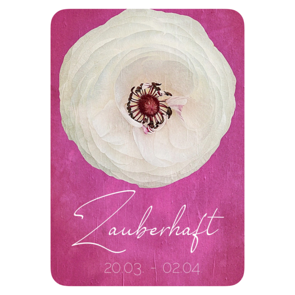 XXV. Floralogie Potpourri - 24 Karten – Bild 2