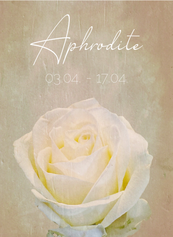 VI. Aphrodite  03.04.-17.04. – Bild 3