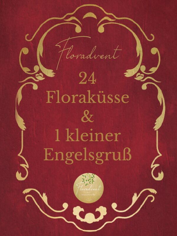 Floradvent – Bild 2
